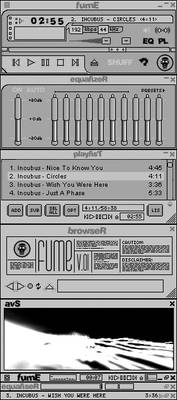 fumE AMP v1f