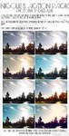 photography edit actions 1 by depairfactor