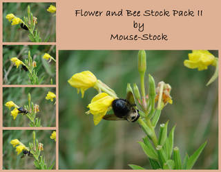 Flower and Bee Stock Pack II