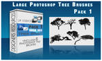 6 Photoshop Tree Brushes by DigitalPhenom