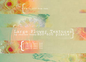 Large Flower Textures 05