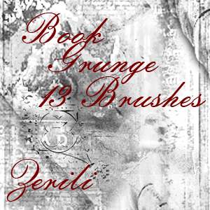 Book Grunge Brushes By: Zerili