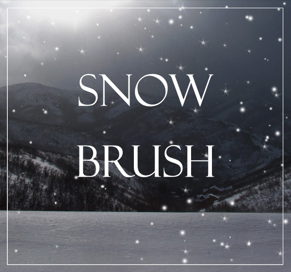 snow brush