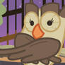 Owlicious (Animation)