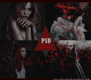 PSD 17: Spell of the wicked