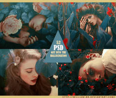 PSD 52: Get Into The Hallucination