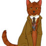 Tenth Doctor Cat