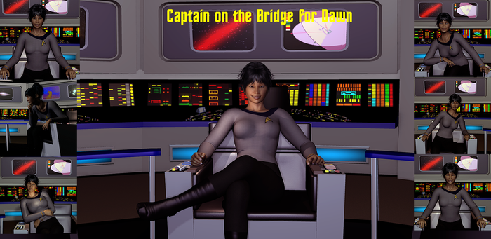 Captain on the Bridge - Dawn