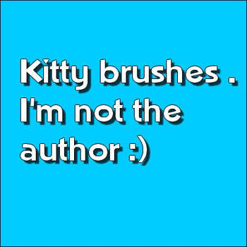 Kitty brushes