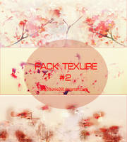 [SHARE] PACK TEXTURE #1