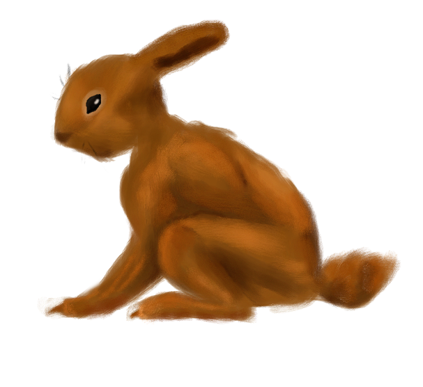 bunny practice by myspamaccount on DeviantArt