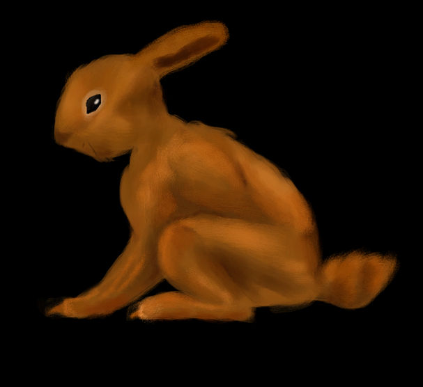 bunny practice by myspamaccount on DeviantArt