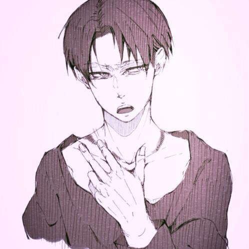 levi stress