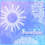 Snowflakes - 10 Brushes