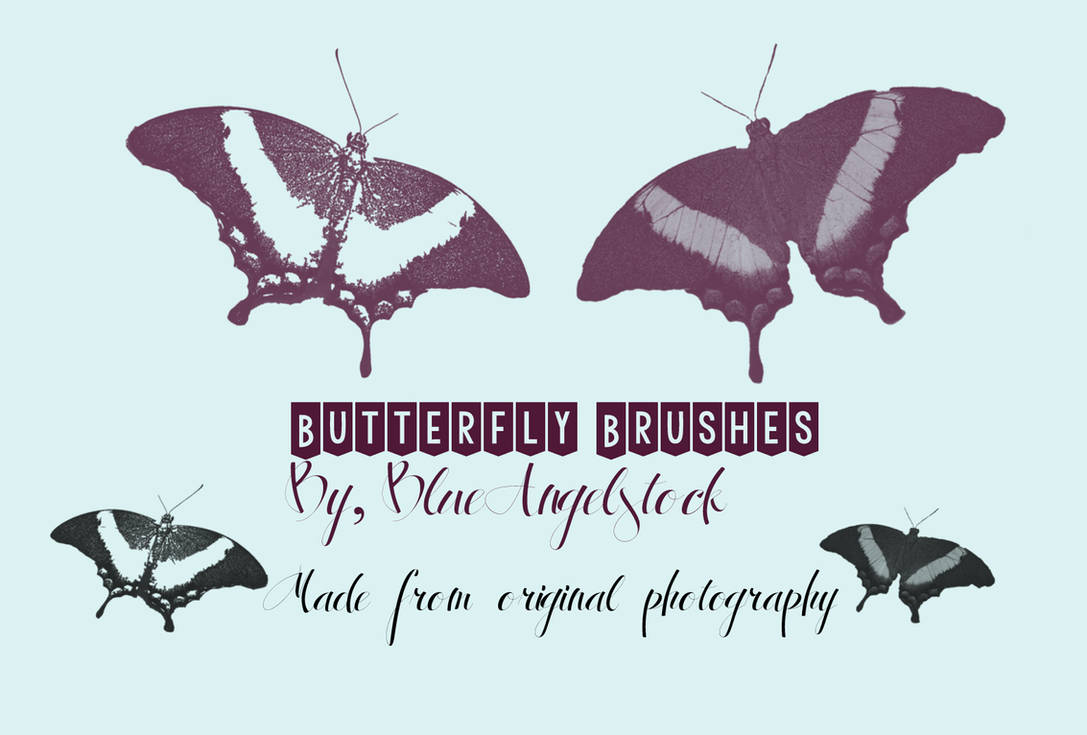 Butterfly Brushes by blueangelstock on DeviantArt