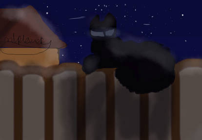 Explore the Best Twolegplace Art | DeviantArt