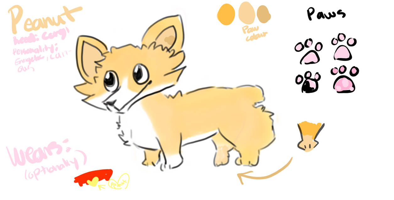 Corgi OC by Cherry13lossom on DeviantArt