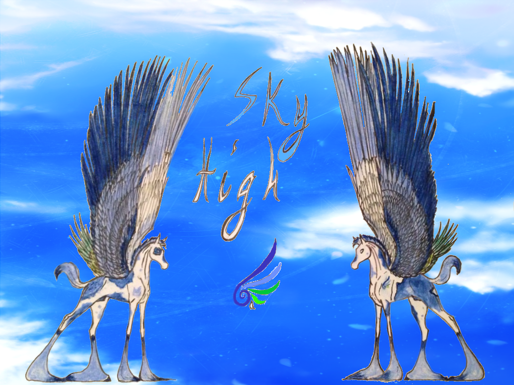 Sky High (ref sheet digital BG)