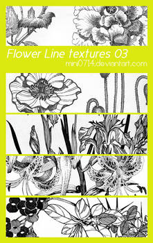 Flower Line textures 03