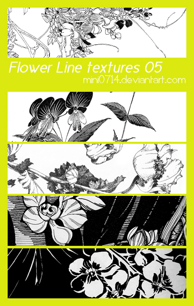 Flower Line textures 05