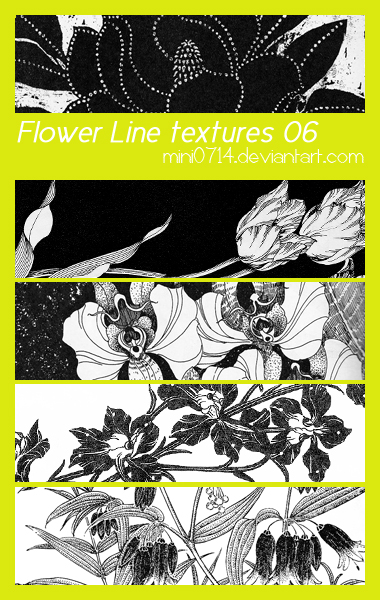 Flower Line textures 06