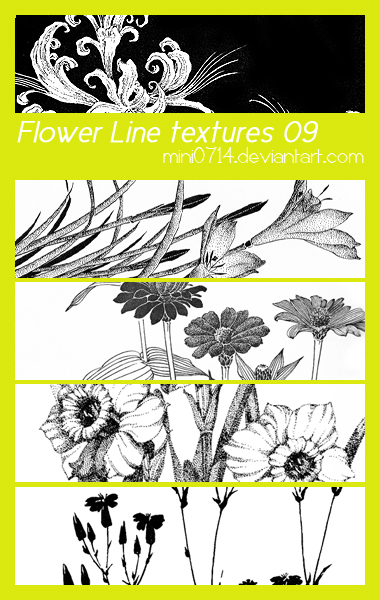 Flower Line textures 09