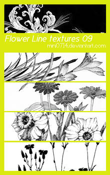 Flower Line textures 09