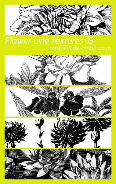 Flower Line textures 13