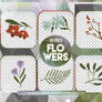 FLOWERS - PNG Pack #6 by Anemoias