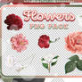 FLOWERS - PNG PACK #7 by Anemoias