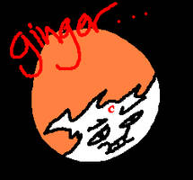 QUICKY 1 GINGER