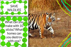 Save WildLife Poster