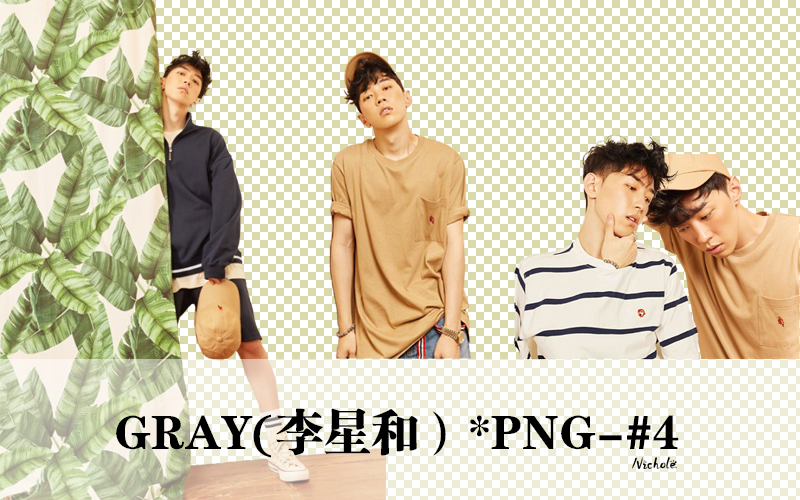 PNG-GRAY-nichole