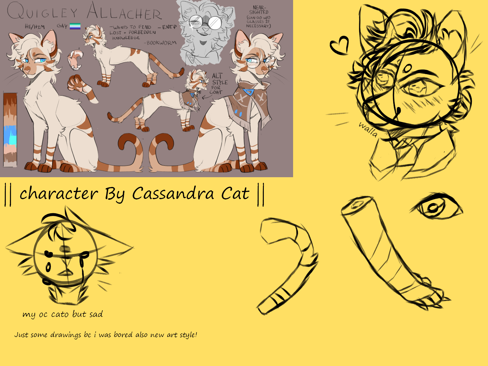 Cassandra Cat drawing! by leafyyyxx on DeviantArt