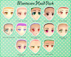 Montecore Head Pack DL