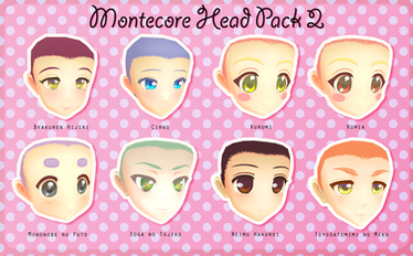 Montecore Head Pack 2 DL