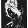 Black Cat by Jason Lima