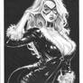 Black Cat by Jason Lima
