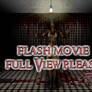 Flash- The Room