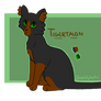 Tigertalon Ref ~ Commission