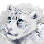 Snow leopard painting test
