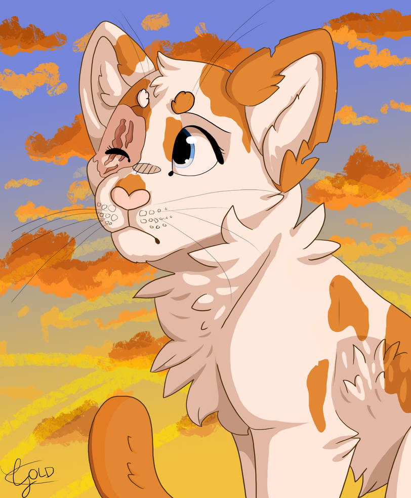 Brightheart | SPEEDPAINT by qoldylocks on DeviantArt