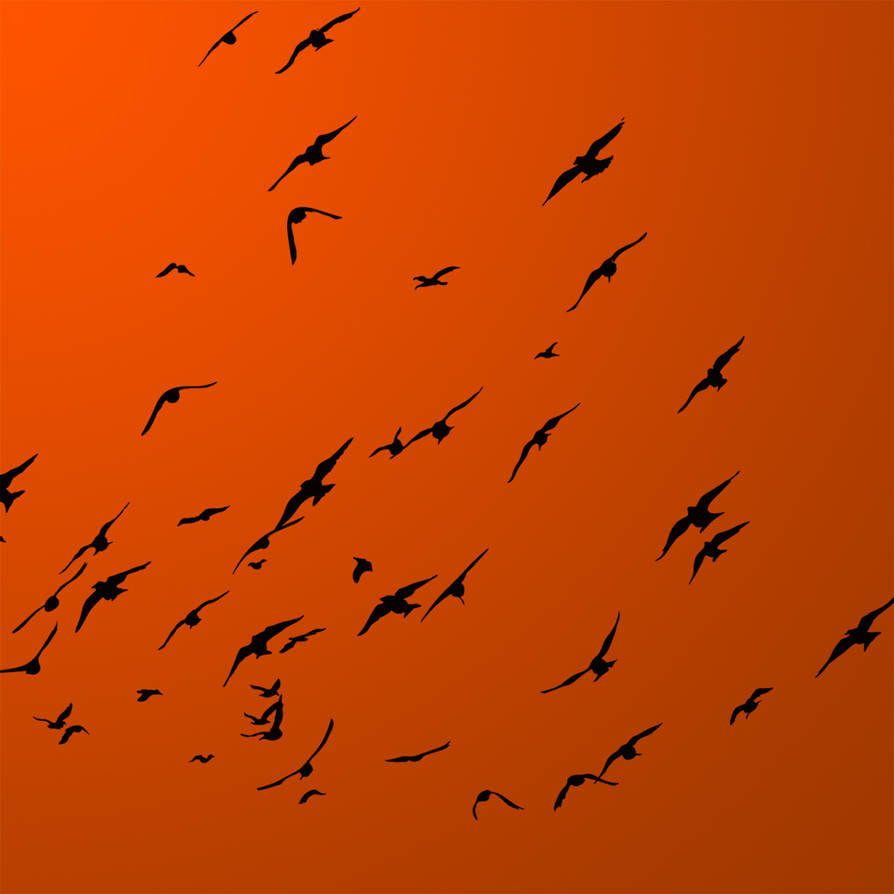 High-Res Bird Brushes by just-Nate