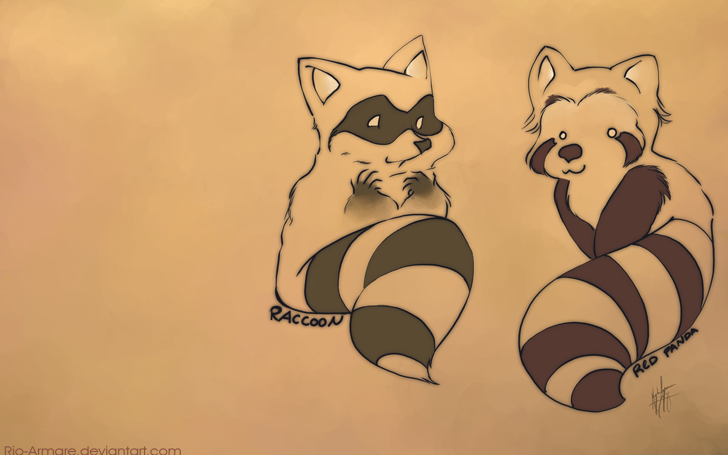 Red panda vs. Racoon