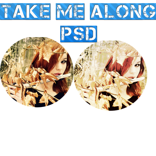 Take Me Along psd