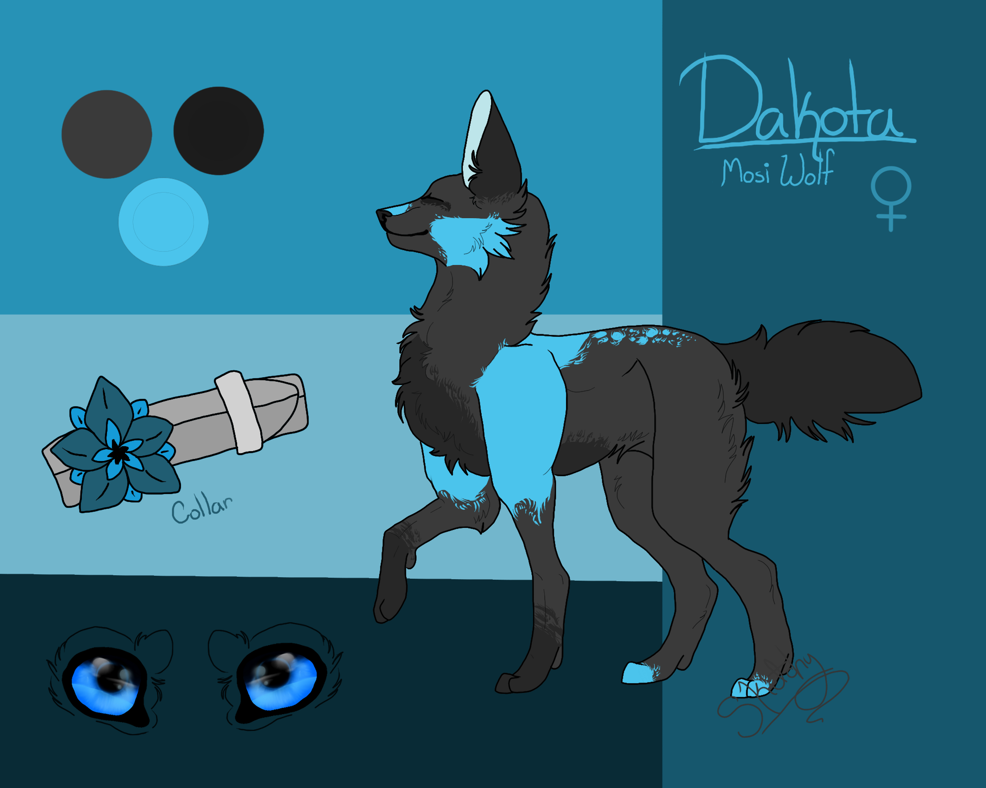 Dakota Oc Mosi Wolf Character Reference Sheet By Sketchyodoodles On Deviantart