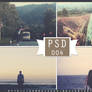 PSD 004 - Vintage Blend