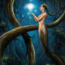 Echoes of light