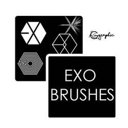 Exo Brushes 1