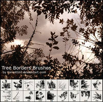Tree Borders Brushes